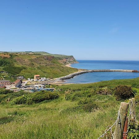 Saltburn Holidays 3 Park View Loftus Extérieur photo